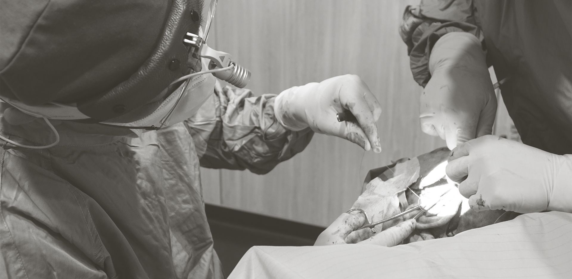 蔡醫師親手操刀為患者治療(照片經色調處理)